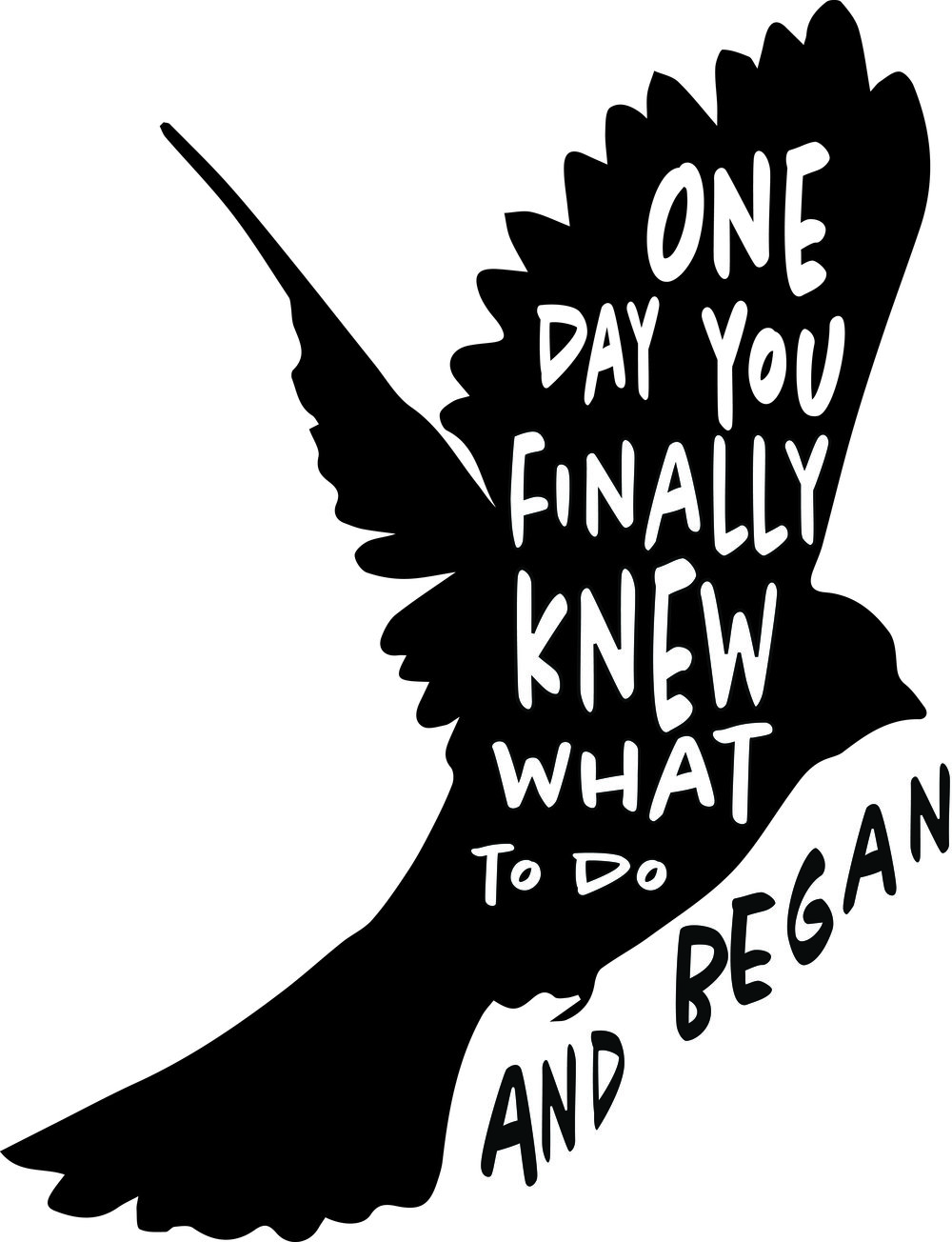 bird1.jpg